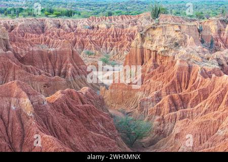 Formations rocheuses bizarres dans le désert de Tatacoa, Colombie Banque D'Images