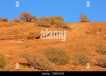 Le point de vue de la côte de l'océan Montana Amarilla Tenerife Banque D'Images