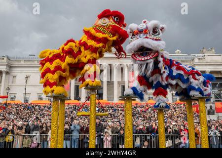 Londres, Royaume-Uni. 11 février 2024. Les danseurs du lion se produisent à Trafalgar Square pour célébrer le nouvel an lunaire chinois à Londres, en Grande-Bretagne, le 11 février 2024. Credit : Stephen Chung/Xinhua/Alamy Live News Banque D'Images