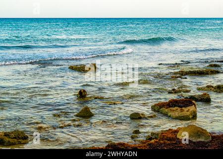 Pierres rochers et coraux avec algues marines sargazo dans l'eau turquoise vert et bleu sur la plage de Playa del Carmen Quintana Roo Mexique. Banque D'Images