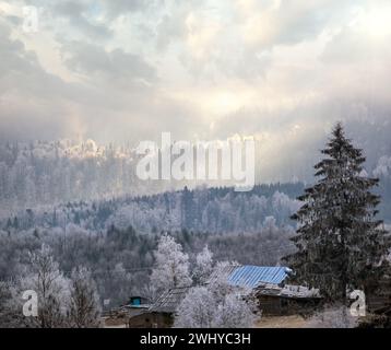 L'hiver approche.Scène pittoresque avant le lever du soleil au-dessus de la fin de l'automne campagne de montagne avec du givre sur les herbes, les arbres, les pentes.PE Banque D'Images