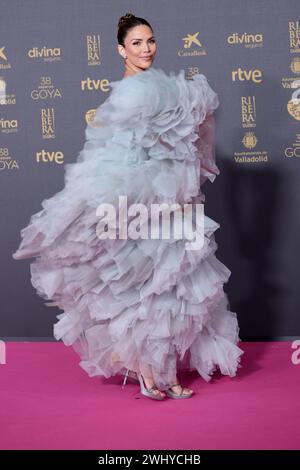 Valladolid, Espagne. 10 février 2024. Valladolid, Espagne ; 02/10/2024.- Rosanna Zanetti. Personnages sur le tapis rouge des Goya Awards 2024. Crédit : Juan Carlos Rojas/dpa/Alamy Live News Banque D'Images