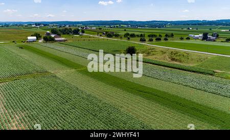 Drone vue d'une équipe de quatre chevaux, avec un homme Amish, tirant une machine de coupe, récoltant la récolte Banque D'Images