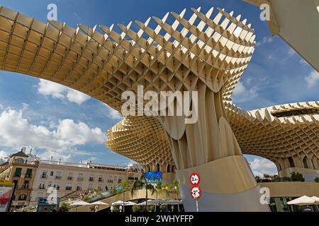 Champignons de Séville ou dans le bâtiment espagnol Setas de Sevilla à Séville Banque D'Images