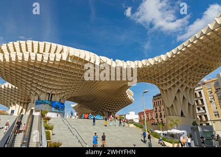 Champignons de Séville ou dans le bâtiment espagnol Setas de Sevilla à Séville Banque D'Images