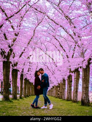 Allée de fleurs de cerisier Sakura. Magnifique parc pittoresque avec des rangées de cerisiers en fleurs sakura et pelouse verte au printemps, Nether Banque D'Images