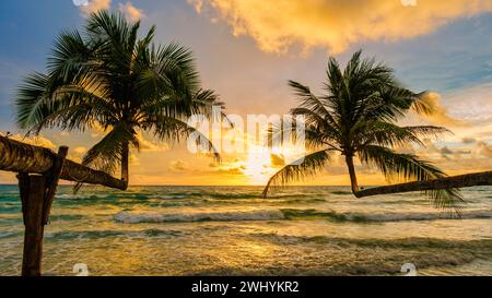 Coucher de soleil sur la plage de Koh Kood Island Thailand Trat, une plage tropicale avec des palmiers Banque D'Images