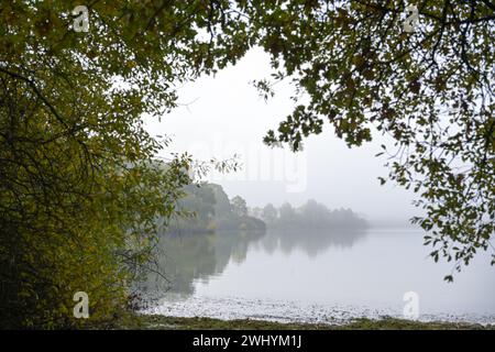 Lac naturel sur un matin brumeux gris entouré de forêt de feuillus sur le rivage au début de l'automne, paysage pittoresque dans le nord du G Banque D'Images