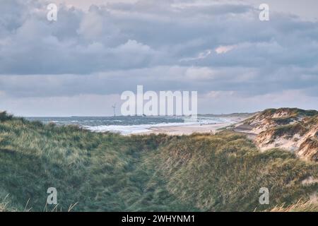 Dunes dans la lumière du soir sur la côte ouest danoise Banque D'Images