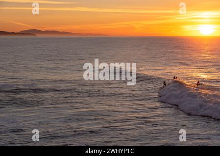 Personnes, surf, Campus point, UCSB, Early Morning Light, culture du surf en Californie, belles vagues, style de vie côtier Banque D'Images