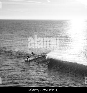 Personnes, surf, Campus point, UCSB, Early Morning Light, culture du surf en Californie, belles vagues, style de vie côtier Banque D'Images