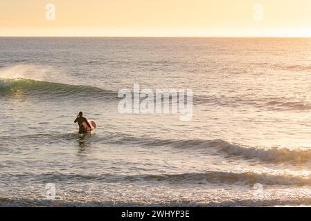 Personnes, surf, Campus point, UCSB, Early Morning Light, culture du surf en Californie, belles vagues, style de vie côtier Banque D'Images