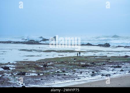 Mavericks, Big Wave Surfing, marée basse, Half Moon Bay, Port, côte, Californie, Surf Spot, Sports extrêmes, surf Banque D'Images