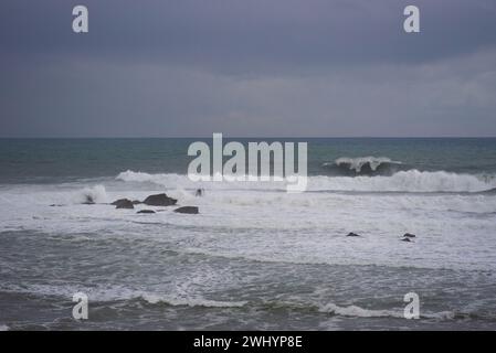 Spectateurs, Mavericks, Big Wave Surfing, bord de mer, littoral, surfeurs, sports extrêmes, adrénaline Banque D'Images