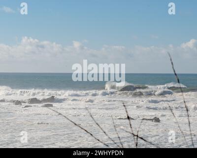 Spectateurs, Mavericks, Big Wave Surfing, bord de mer, littoral, surfeurs, sports extrêmes, adrénaline Banque D'Images