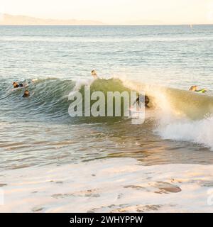 Surf, Sandspit, Santa Barbara Harbor, Surf, Sport, bodyboard, Perfect Wave, océan, eau, loisirs, loisirs Banque D'Images