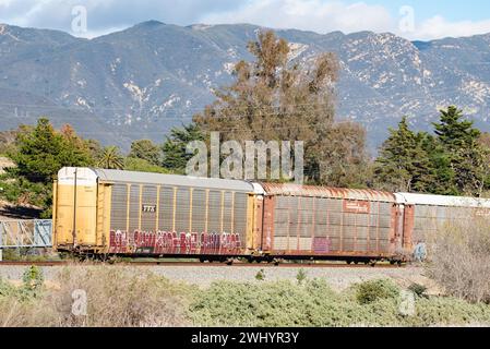 Graffiti, train de fret, Santa Barbara, Art urbain, Street Art, coloré, voitures de train, chemin de fer, Art graffiti, paysage urbain, art public Banque D'Images