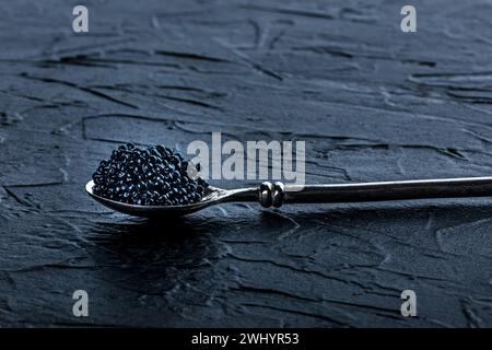 Une cuillère argentée avec du caviar noir sur un fond d'ardoise foncé Banque D'Images