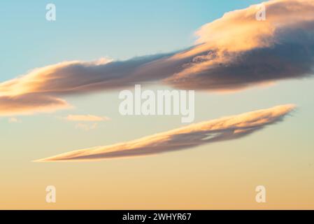 Macro, photo, Foggy, coucher de soleil, Los Padres National Forest, montagnes, Santa Barbara, brouillard, couleurs brillantes, nature, paysage, atmosphérique, Banque D'Images