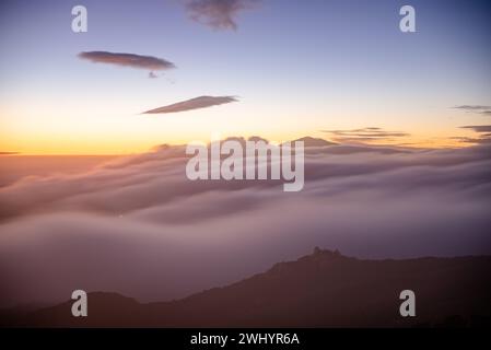 Macro, photo, Foggy, coucher de soleil, Los Padres National Forest, montagnes, Santa Barbara, brouillard, couleurs brillantes, nature, paysage, atmosphérique, Banque D'Images