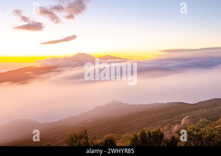 Macro, photo, Foggy, coucher de soleil, Los Padres National Forest, montagnes, Santa Barbara, brouillard, couleurs brillantes, nature, paysage, atmosphérique, Banque D'Images