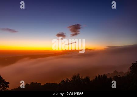 Macro, photo, Foggy, coucher de soleil, Los Padres National Forest, montagnes, Santa Barbara, brouillard, couleurs brillantes, nature, paysage, atmosphérique, Banque D'Images