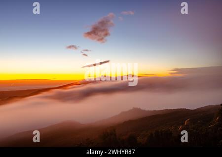 Macro, photo, Foggy, coucher de soleil, Los Padres National Forest, montagnes, Santa Barbara, brouillard, couleurs brillantes, nature, paysage, atmosphérique, Banque D'Images