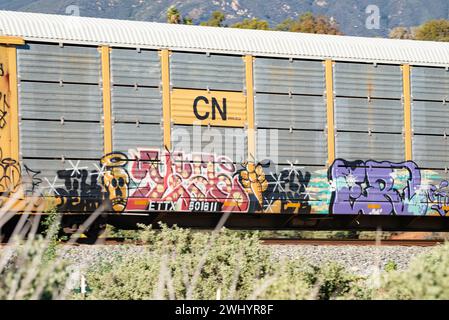 Graffiti, train de fret, Santa Barbara, Art urbain, Street Art, coloré, voitures de train, chemin de fer, Art graffiti, paysage urbain, art public Banque D'Images