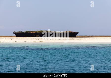 Wasini Island et Parc national marin de Kisite-Mpunguti, Kenta, Afrique Banque D'Images