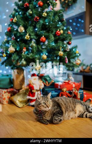 Grand chat se trouve sur le sol sous un arbre de Noël décoré et regarde loin Banque D'Images