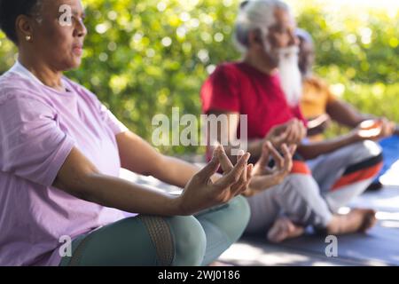 Femme senior afro-américaine focalisée pratiquant le yoga avec des amis dans le jardin ensoleillé, espace copie Banque D'Images