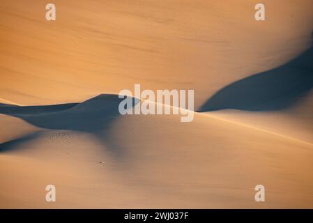 Dumont Sand Dunes, comté d'Inyo Californie, parc national de la Vallée de la mort, dunes de sable, coucher de soleil, contours des dunes de sable Banque D'Images