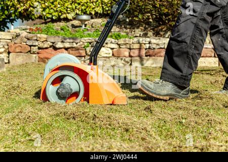 Aération avec scarificateur. Pelouse thatcher en action. Utilisation d'un scarificateur dans le jardin Banque D'Images