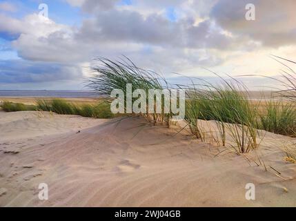 Duenen par la mer, Île Norderney, mer du Nord, Frise orientale, basse-Saxe, Allemagne, Europe Banque D'Images