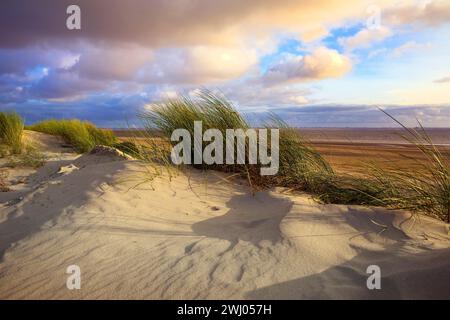 Duenen par la mer, Île Norderney, mer du Nord, Frise orientale, basse-Saxe, Allemagne, Europe Banque D'Images