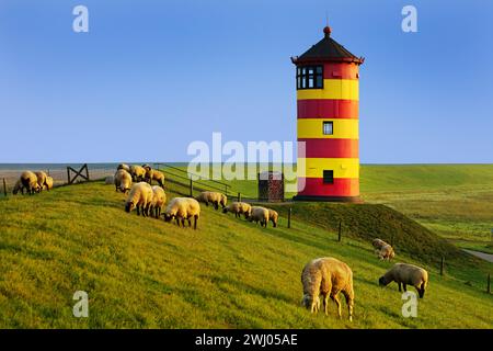 Phare de Pilsum, Pilsum, Krummhoern, Frise orientale, basse-Saxe, mer du Nord, Allemagne, Europe Banque D'Images