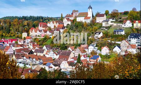 Blick auf Altensteig im Nordschwarzwald Banque D'Images
