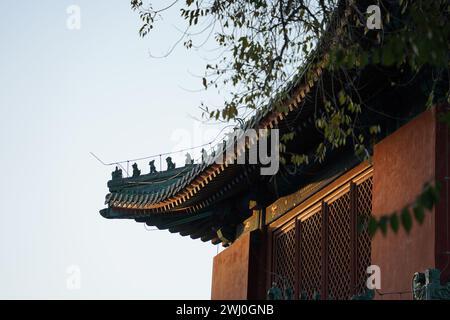 Les anciens bâtiments historiques : la Cité interdite de Chine. L'avant-toit historique sous le coucher du soleil. Banque D'Images