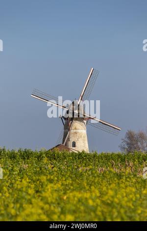 Le moulin sur les sept routes et vue de paysage, à Denderwindeke près de Ninove en Flandre orientale, Belgique. Banque D'Images