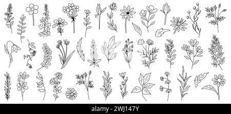 Ensemble de minuscules fleurs sauvages et de plantes au trait d'art. Illustration de Vecteur