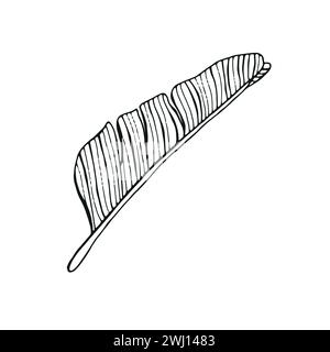 art vectoriel de ligne de feuille en arrière-plan blanc isolé Illustration de Vecteur