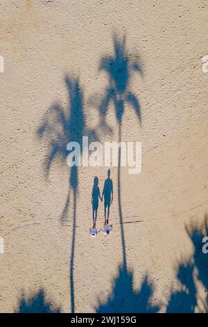 Drone vue d'en haut à un couple d'hommes et de femmes marchant sur la plage avec des palmiers Banque D'Images