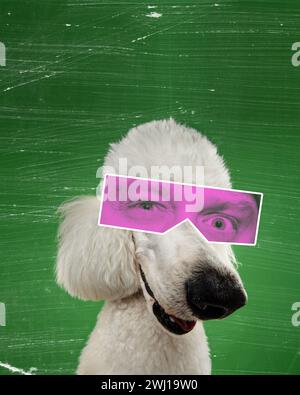 Collage d'art contemporain. Animaux à expression faciale humaine. Banque D'Images