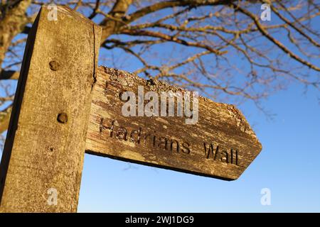 Panneau de sentier pour Hadrien's Wall, Steel Rigg, Northumberland, Angleterre Banque D'Images