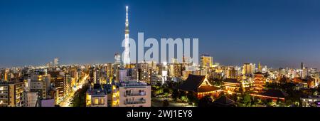 Tokyo Skytree Tower et Asakusa Shrine avec le panorama des gratte-ciel la nuit à Tokyo, Japon Banque D'Images