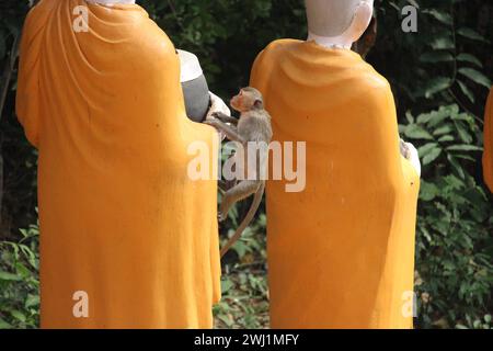 Macaque grimpant une statue de Bouddha sur la colline de Sambok dans la région de Kratie au Cambodge Banque D'Images