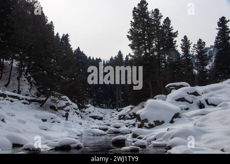 Baramulla, Jammu-et-Cachemire, Inde. 12 février 2024. Un homme est vu explorer la chute de glace gelée par une froide journée d'hiver à Tangmarg, Baramulla. Drung, un petit village situé à environ 50 km de la capitale, Srinagar, devient une destination touristique populaire cet hiver en raison des températures inférieures au point de congélation dans la vallée. (Crédit image : © Adil Abbas/ZUMA Press Wire) USAGE ÉDITORIAL SEULEMENT! Non destiné à UN USAGE commercial ! Banque D'Images