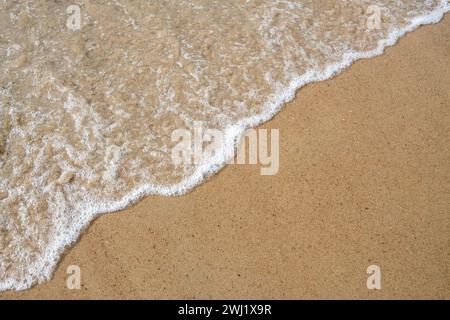 Cette image en gros plan capture magnifiquement le moment délicat où le bord mousseux d'une vague rencontre le rivage lisse et sablonneux. Les motifs complexes de la mousse et les grains fins du sable sont très détaillés, illustrant l'interaction intemporelle et rythmée entre la mer et la terre. Cette frontière simple mais profonde où l'eau rencontre la terre est un symbole universel du reflux et de l'écoulement de la nature. Vagues douces sur Sandy Beach. Photo de haute qualité Banque D'Images