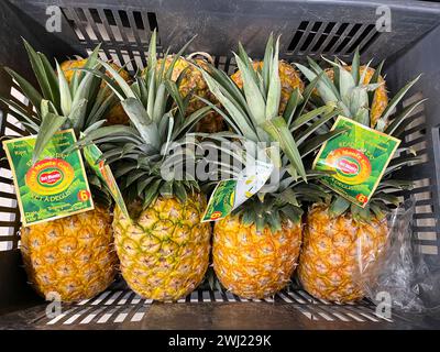 KENYA, Nairobi, Carrefour supermarché Ngong Road, vente d'ananas frais de plantation de la société fruitière Del Monte Kenya Ltd., Cirio Del Monte Kenya, près de Thika / KENIA, Nairobi, Carrefour Supermarkt, Verkauf von frischen ananas von der Del Monte Kenya ananas Farm BEI Thika Banque D'Images