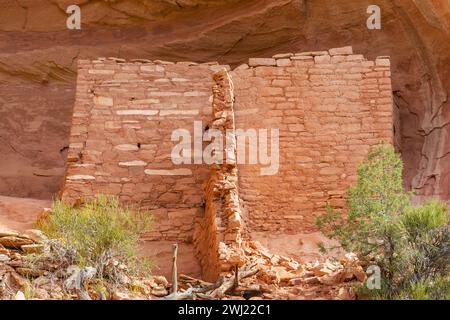 Canyon des anciens Banque D'Images